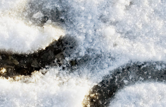 Horseshoe in snow shutterstock 500x 180_41078995