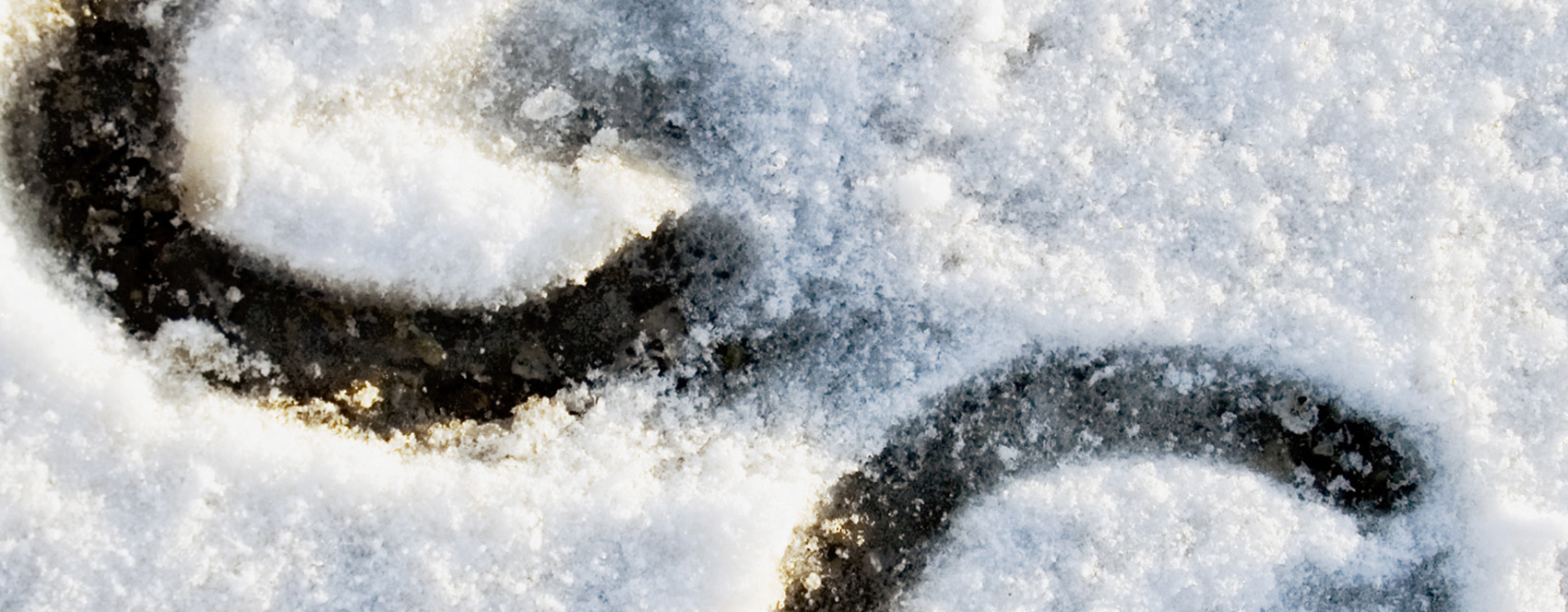 Horseshoe in snow shutterstock1280 x 400_41078995