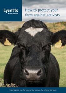 Activism guide