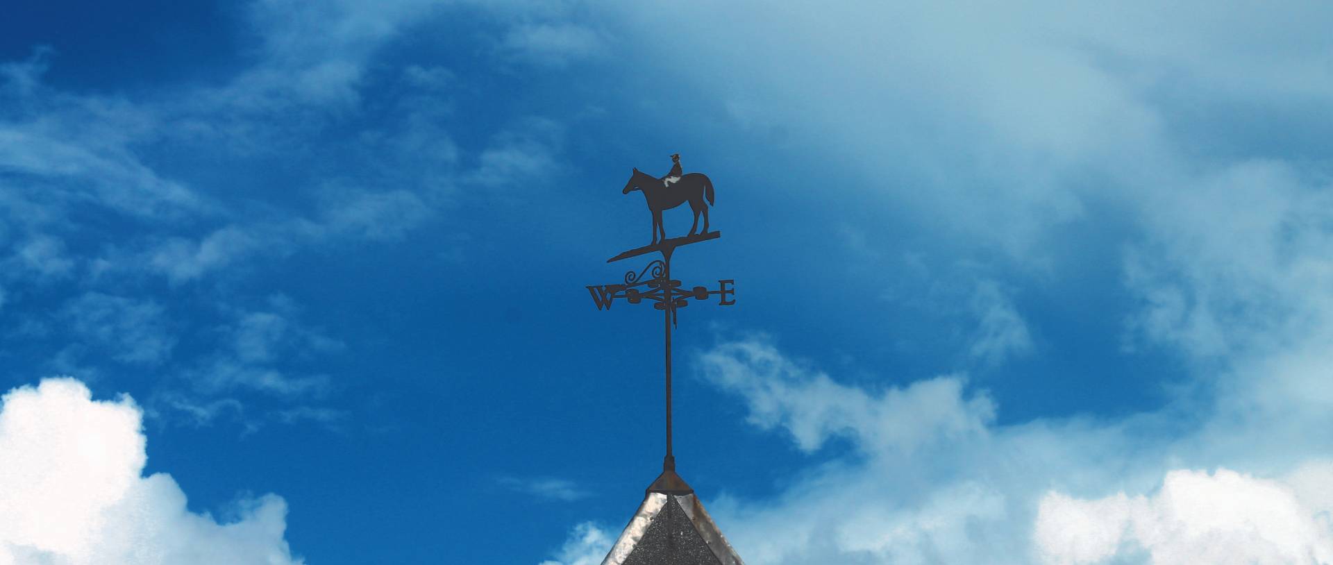 Equine Property