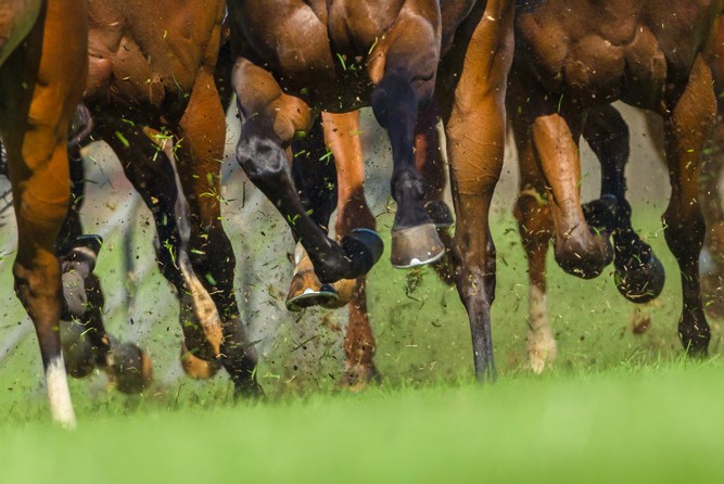 Racing Legs
