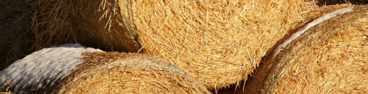 Farm Business Interruption Insurance