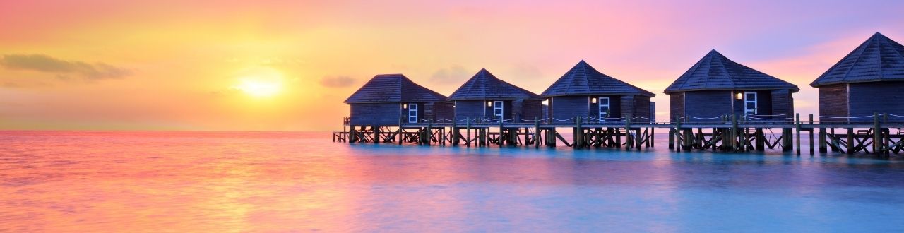 Travel Insurance
