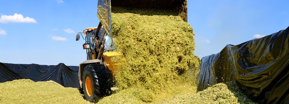 Silage