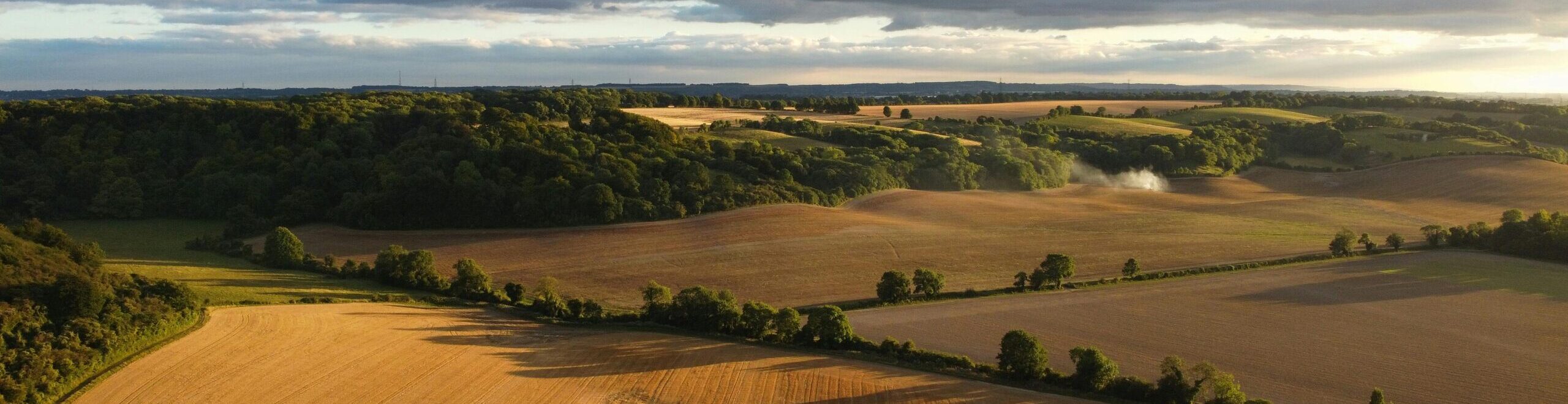 https://lycetts.factor3staging.co.uk/wp-content/uploads/2026/05/Rural-2-scaled-e1784559942402.jpg